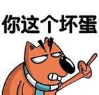 你就是一个混蛋大坏蛋英文真的能形容他吗