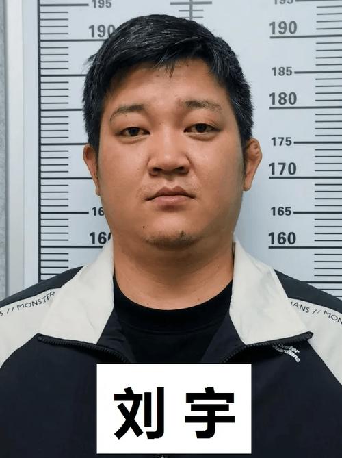 说一下犯罪，犯罪 犯法