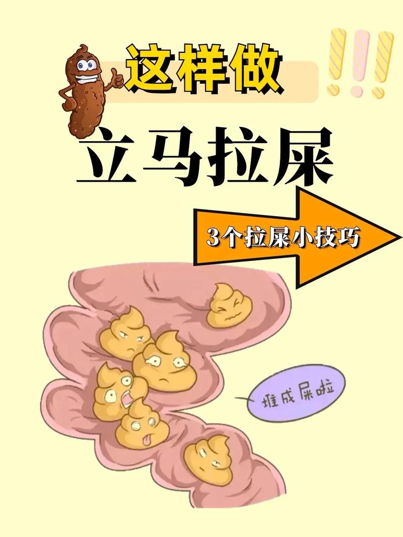 为什么会便秘拉不出来什么原因，为什么会便秘拉不出来女生