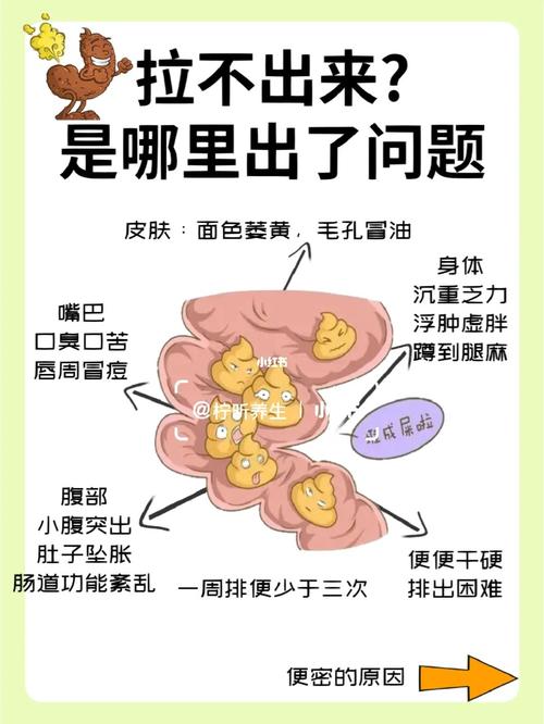 为什么会便秘拉不出来什么原因，为什么会便秘拉不出来女生