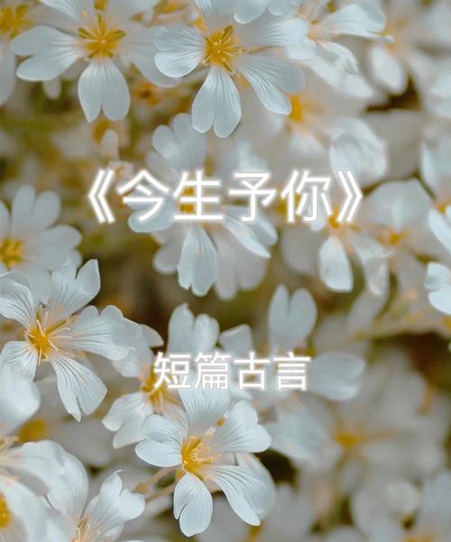 愿你遇良人歌词，夜寻良人歌词