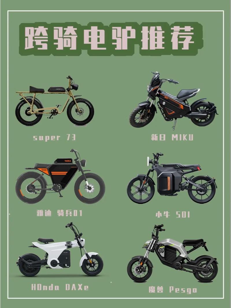 电驴解析，电驴推荐